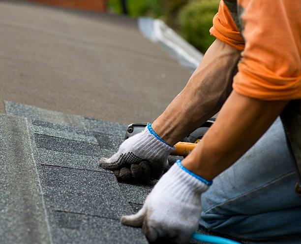 Best Roof Gutter Cleaning  in Harleigh, PA