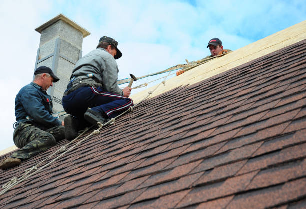 Best New Roof Installation  in Harleigh, PA
